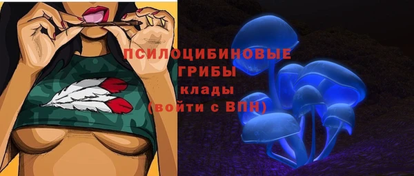 крисы Армянск