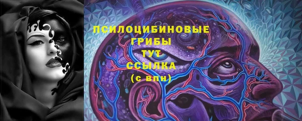 крисы Армянск