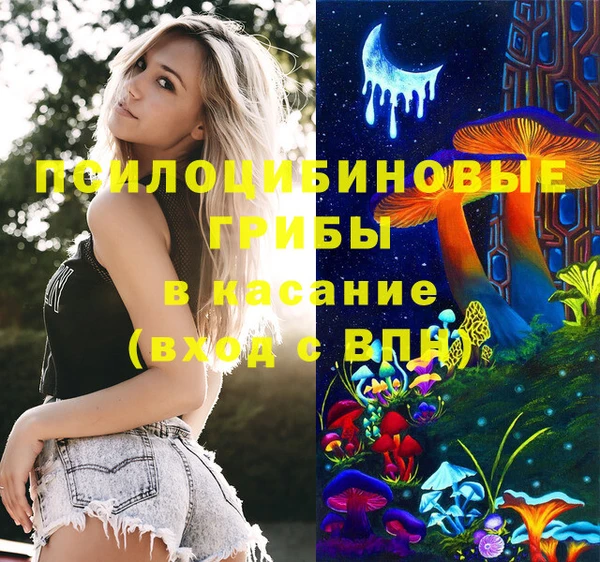 прущий лед Арсеньев
