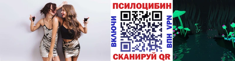 Псилоцибиновые грибы Magic Shrooms  где купить наркотик  Можга 